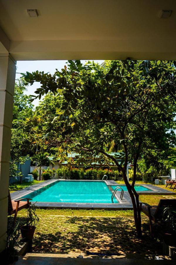 Sigiri Sierra View Resort سيغيرِيا المظهر الخارجي الصورة