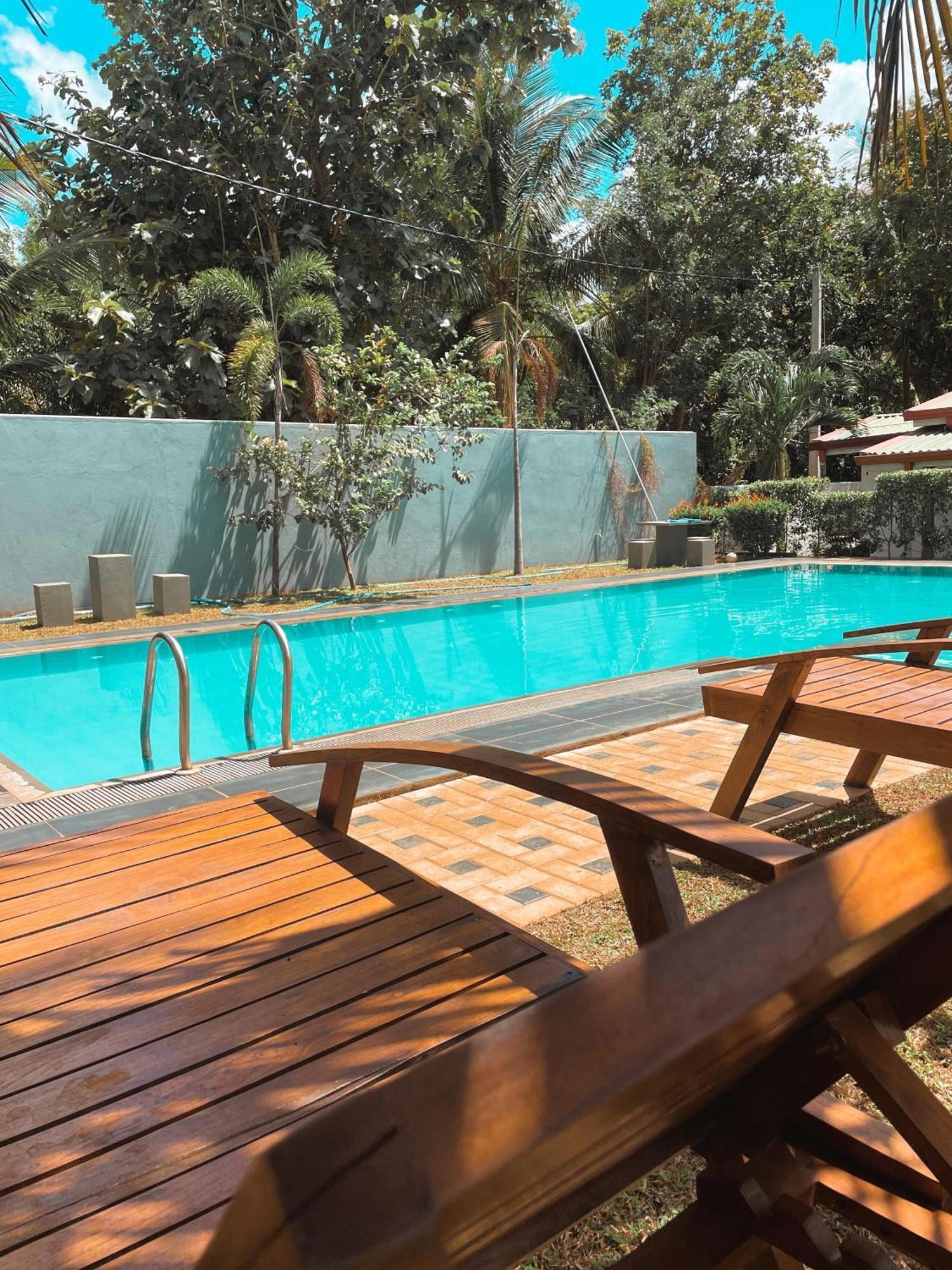 Sigiri Sierra View Resort سيغيرِيا المظهر الخارجي الصورة